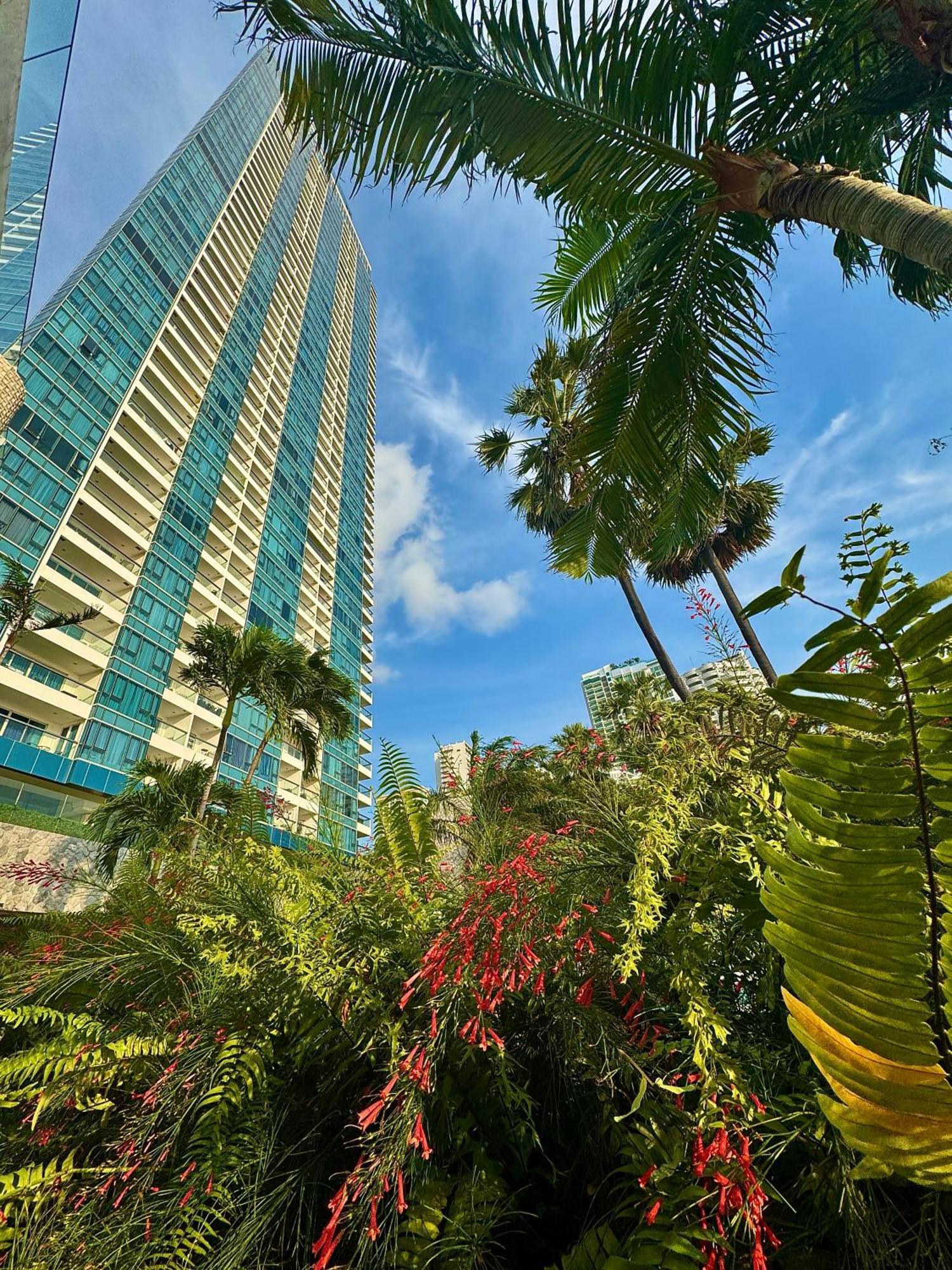 Apartment The Palm Sea View Private World Class Luxury *